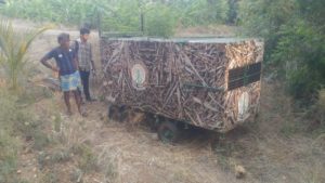 Forest KOvai
