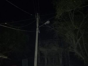 IMG-20200501-WA0378