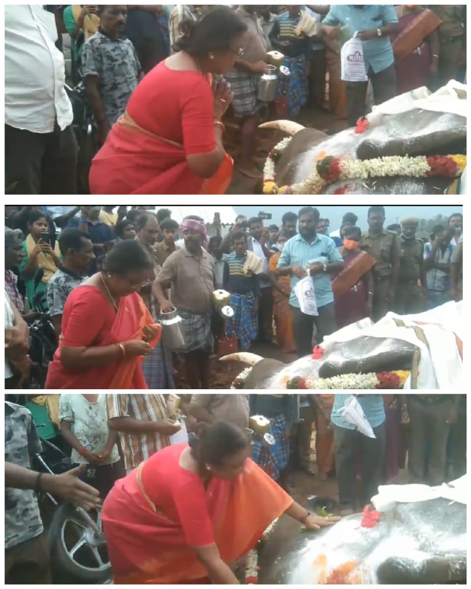 கோவை : ஆலாந்துறை அருகே இருட்டுப்பள்ளம் பகுதியில் மின்வேலியில் சிக்கி பலியான காட்டு யானைக்கு கிராம மக்கள் கண்ணீர் மல்க அஞ்சலி!!!