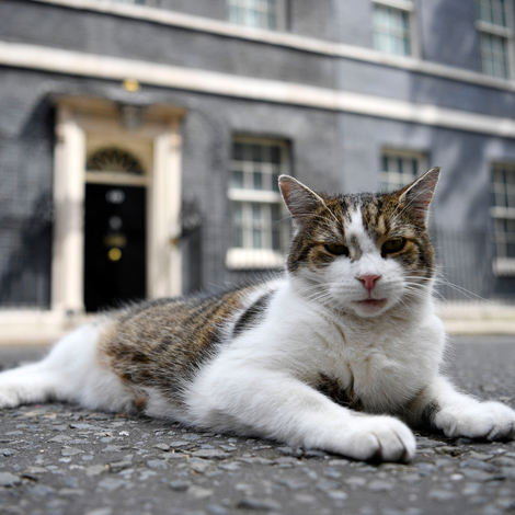 Britain's PM  May leaves for PMQs, London, United Kingdom - 10 Jul 2019