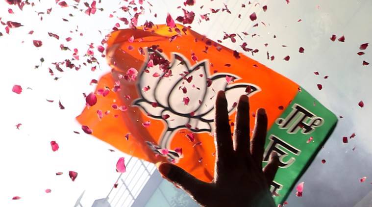BJP victory 04