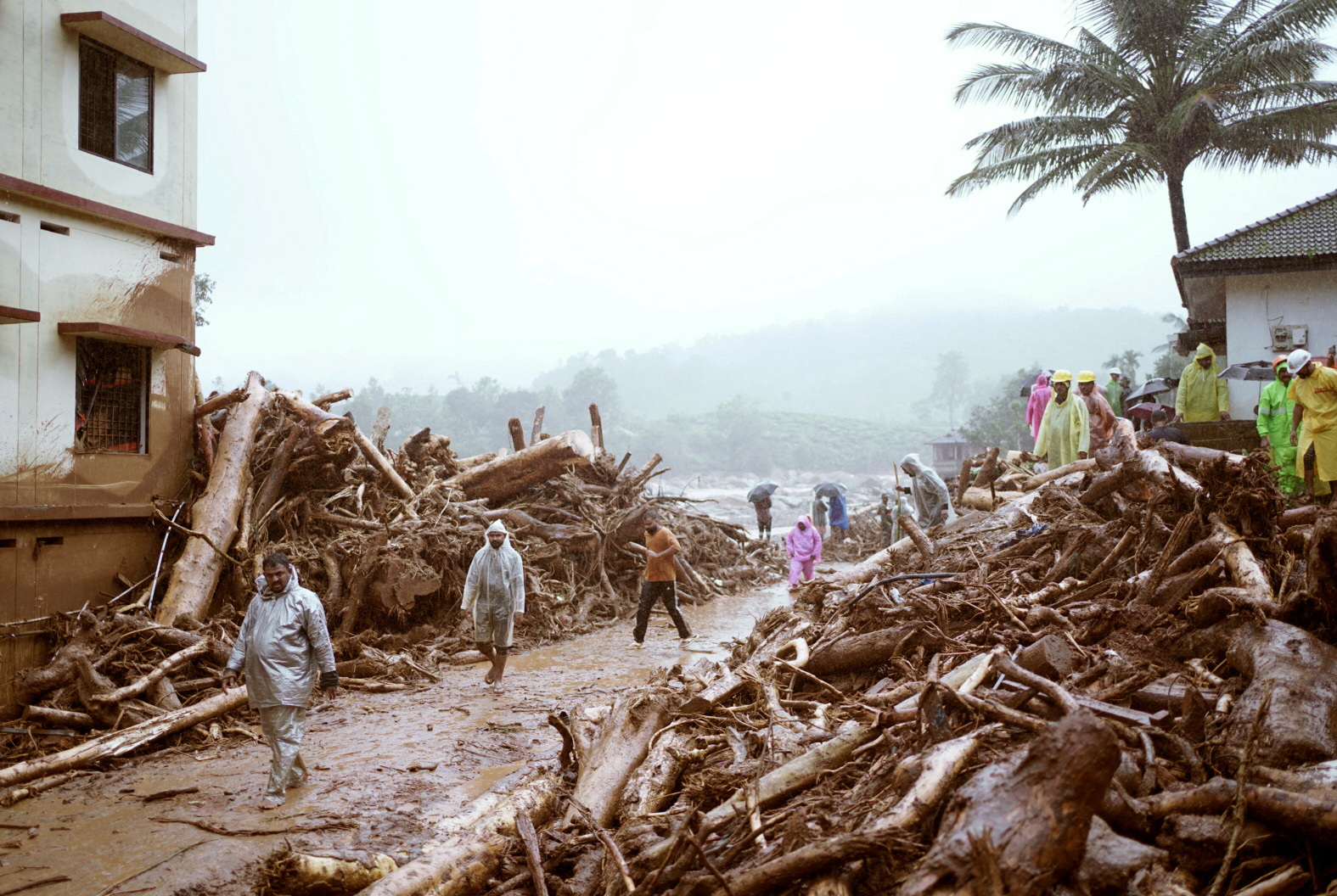 Landslides in the hills in Wayanad